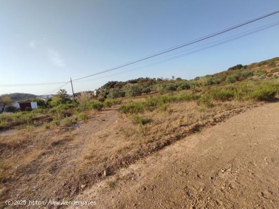  TERRENO URBANIZABLE EN ALMOGIA - MALAGA 