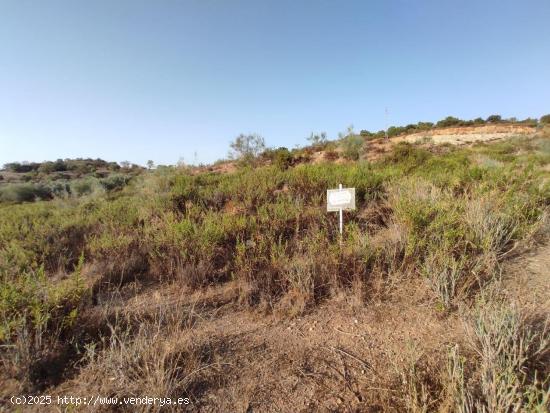 TERRENO URBANIZABLE EN ALMOGIA - MALAGA