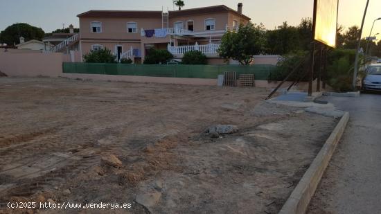 VENTA-PARCELA URBANA-LOS BALCONES-TORREVIEJA-PARCELA DE1000 M2-PRECIO 225.000 EUR - ALICANTE