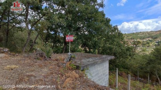 FINCA RUSTICA CON GALPON EN LA ZONA DE CASTRO DE BEIRO (AMOEIRO) - ORENSE