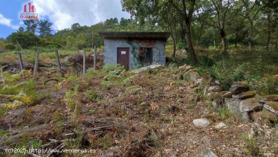 FINCA RUSTICA CON GALPON EN LA ZONA DE CASTRO DE BEIRO (AMOEIRO) - ORENSE