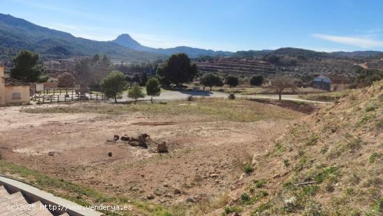 OCASION SOLAR URBANIZABLE EN PARTIDA ESTACIO DE BOT. - TARRAGONA