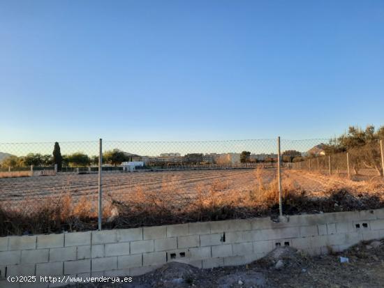 Parcela de terreno - ALICANTE