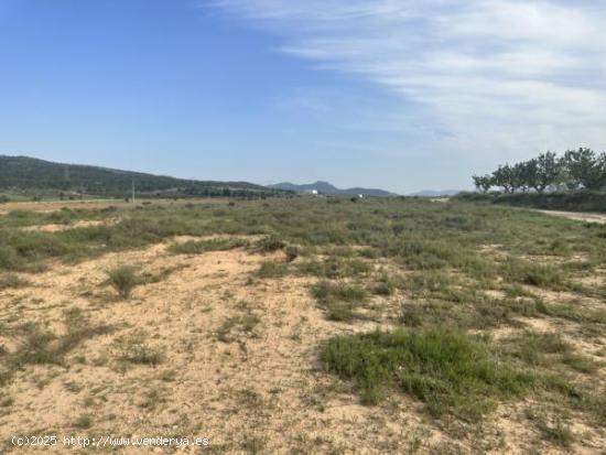 Parcela de terreno de 69000 metros - ALICANTE