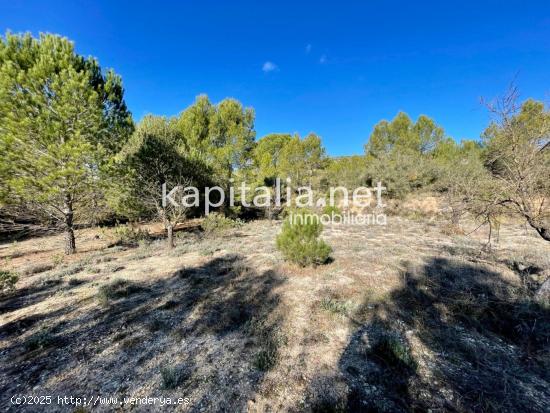 Terreno a la venta en Bocairent. - VALENCIA