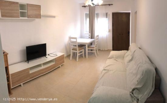 Amplio Bajo Junto Al Mar (segunda linea de playa) Apartamento turistico - MALAGA