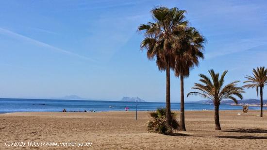 Amplio Bajo Junto Al Mar (segunda linea de playa) Apartamento turistico - MALAGA