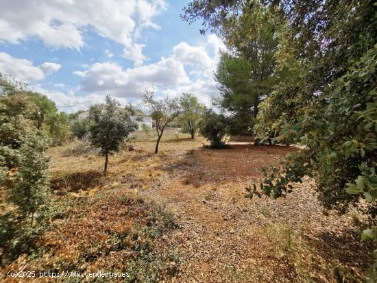 SU SUEÑO, TERRENO LLANO Y ECONÓMICO - TARRAGONA