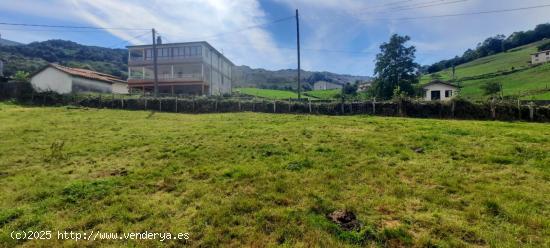 TERRENO EN SUELO URBANO EN BUSTABLADO-ARREDONDO (CANTABRIA) - CANTABRIA