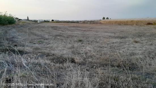  Terreno en la Carretera de Chipiona - CADIZ 