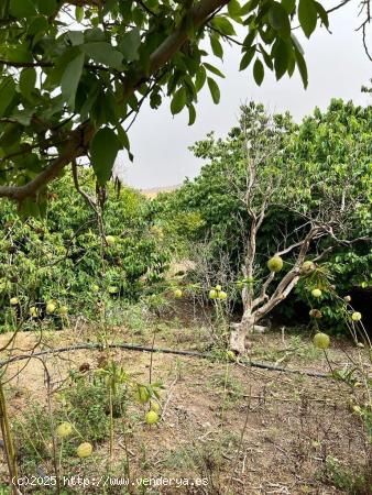 TERRENO URBANO Y RUSTICO CERCANO A VEJER - CADIZ