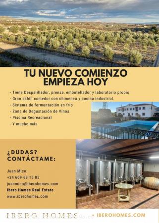 Finca ideal para Hotel rural con bodega en Almeria - ALMERIA