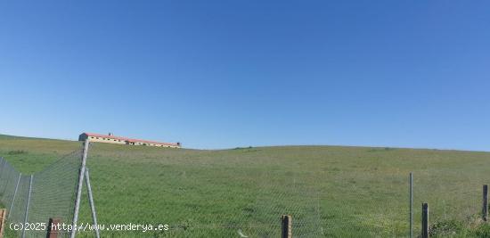 Urbis te ofrece una parcela en venta en Parada de Rubiales, Salamanca. - SALAMANCA