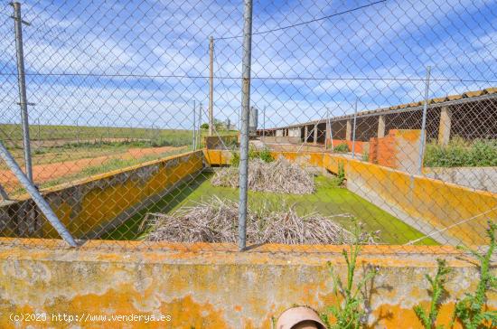 Urbis te ofrece una parcela en venta en Parada de Rubiales, Salamanca. - SALAMANCA