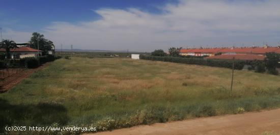  Terreno urbanizable Almendralejo - BADAJOZ 