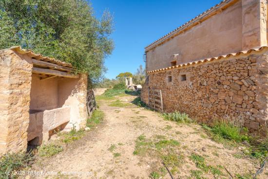 Finca de 124 hectáreas con vivienda en Puigderrós, Llucmajor. - BALEARES