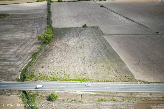 Terreno rustico en Santa Margalida - BALEARES