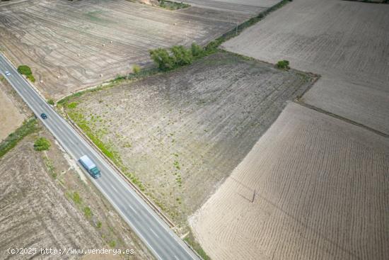 Terreno rustico en Santa Margalida - BALEARES