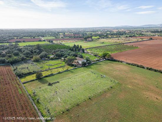 Magnifica finca rústica en la zona de Porreres. - BALEARES