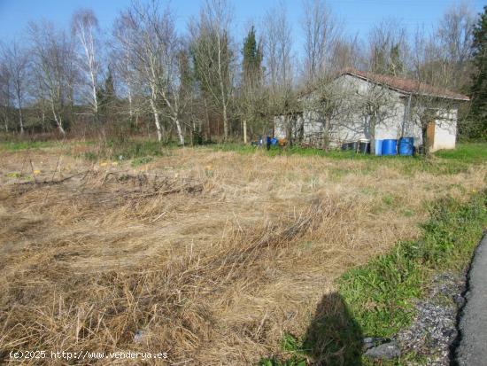 Terreno con cabaña en Vioño - CANTABRIA