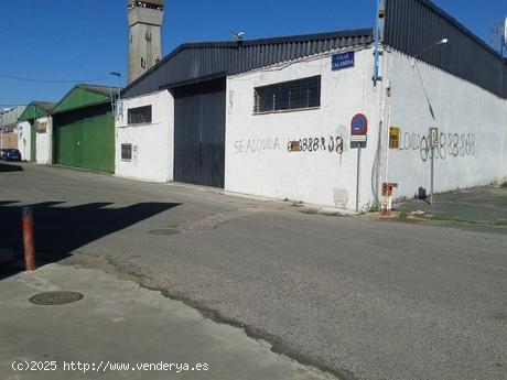 Se Alquila en Sevilla - SEVILLA