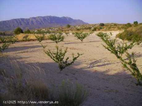  Se Vende en Calasparra - MURCIA 