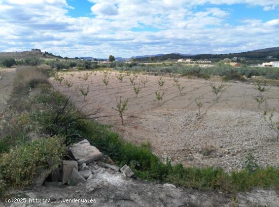  Se Vende en Calasparra - MURCIA 