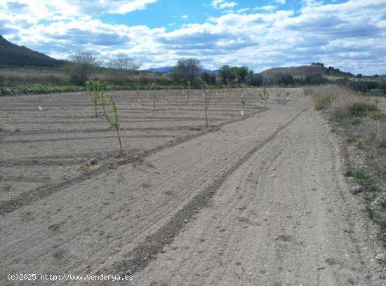 Se Vende en Calasparra - MURCIA