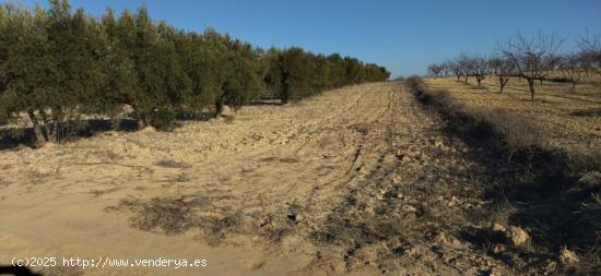  Se Vende en Calasparra - MURCIA 