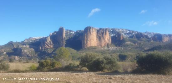 TERRENO OPTIMO PARA CAMPING - ZARAGOZA