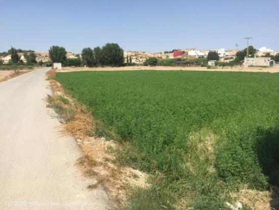  +Terreno no urbano en Molina de Segura zona Ribera de molina, 1118 m. superficie parcela++. - MURCIA 