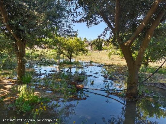 ++Terreno no urbano en Molina de Segura zona Huerta, 2.386m. superficie parcela.+ - MURCIA