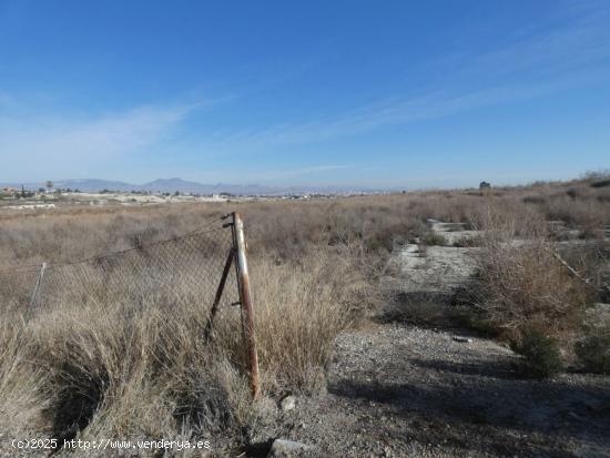  ++Terreno no urbano en Alguazas, 4433 m. superficie parcela++. - MURCIA 