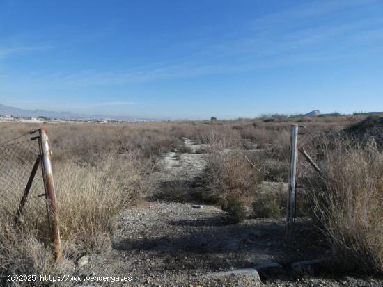 ++Terreno no urbano en Alguazas, 4433 m. superficie parcela++. - MURCIA