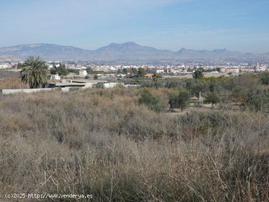  ++Terreno no urbano en Ceuti zona Ceutí, 8200 m. superficie parcela++. - MURCIA 