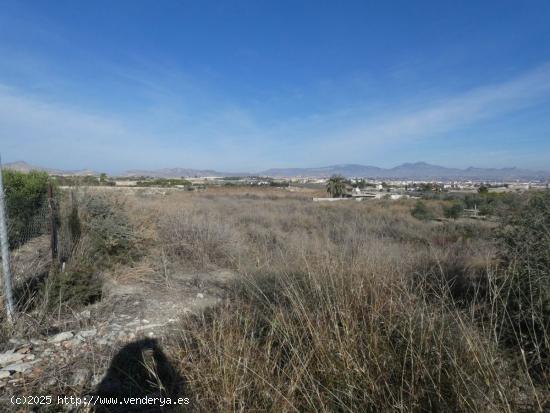 ++Terreno no urbano en Ceuti zona Ceutí, 8200 m. superficie parcela++. - MURCIA