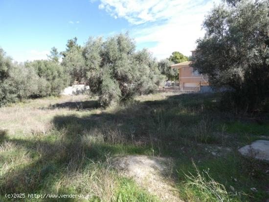 ++Terreno urbano en Molina de Segura zona LOS Conejos, ++1000 m - MURCIA