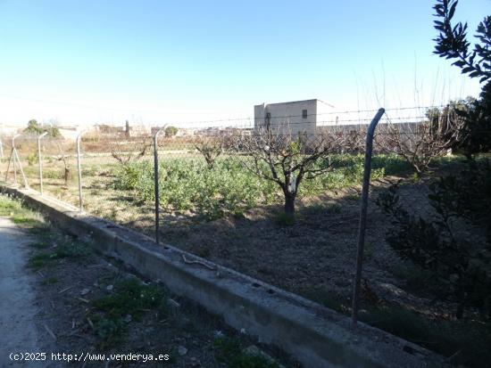 ++Terreno rustico en Molina de Segura zona Huerta,++ 1118 m - MURCIA