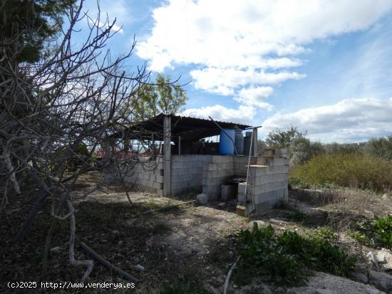 ++Terreno urbano especial huerta en Molina de Segura zona Huerta++, 3700 m - MURCIA