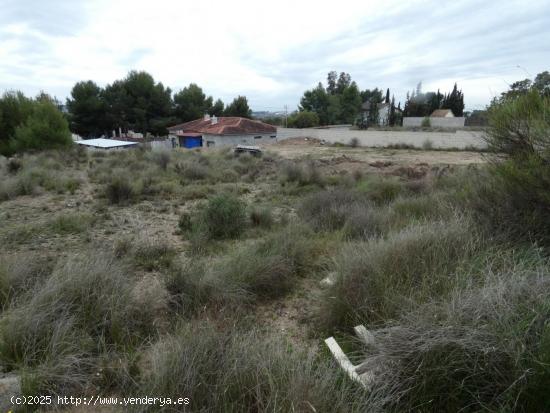 ++Terreno urbano en Molina de Segura zona El Pino, 1000 m.++ - MURCIA