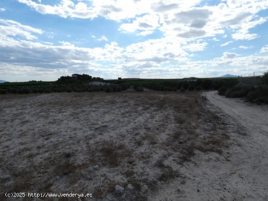 ++Terreno rustico en Molina de Segura zona Los Valientes-el fenazar-la hornera++, 62000 m - MURCIA