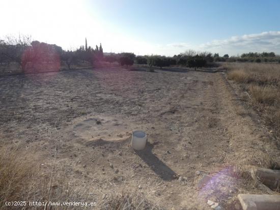  ++Terreno rustico en Molina de Segura zona Huerta, torre de montijo++ 942 m - MURCIA 