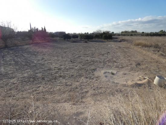 ++Terreno rustico en Molina de Segura zona Huerta, torre de montijo++ 942 m - MURCIA