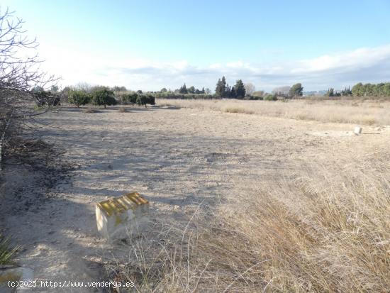 ++Terreno rustico en Molina de Segura zona Huerta, torre de montijo++ 942 m - MURCIA