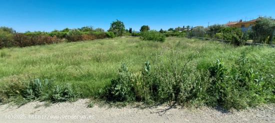  ++Terreno rustico en Alguazas zona Huerta++, 1454 m - MURCIA 