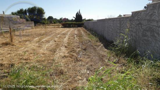  ++Terreno rustico en Las Torres de Cotillas++ 600 m. superficie parcela. - MURCIA 