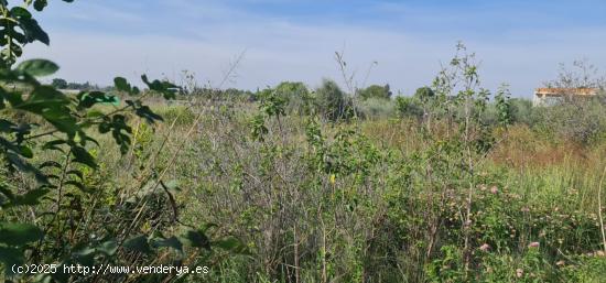  ++Terreno no urbano en Molina de Segura zona El Paraje++, 500 m. - MURCIA 