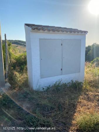 Venta Parcela Zona Ctra. Arcos - Algar - CADIZ