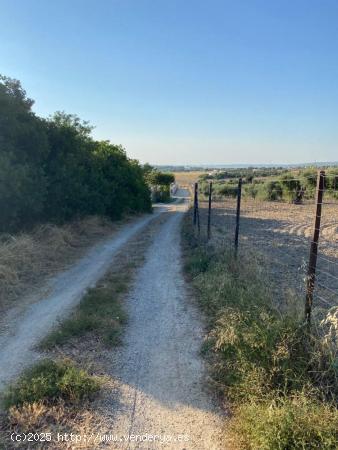 Venta Parcela Zona Ctra. Arcos - Algar - CADIZ