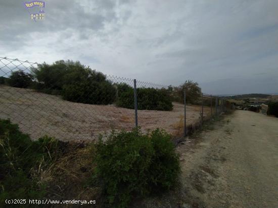 VENTA DE PARCELA ZONA RONCERO ALTO (VENTA EL PAVO) - CADIZ